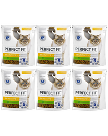 PERFECT FIT Sensitive 1+ 6x750 g sucha karma pełnoporcjowa dla dorosłych kotów bogata w indyka