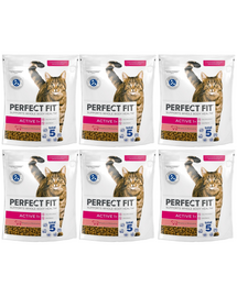 PERFECT FIT Active 1+ 6x750 g sucha karma pełnoporcjowa dla dorosłych kotów bogata w wołowinę