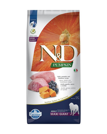 N&D Pumpkin Dog Adult Giant Maxi lamb & bluberry 12 kg jagnięcina i borówki