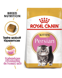 ROYAL CANIN PERSIAN KITTEN - Perzsa kölyök macska száraz táp 4 kg