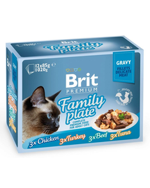 BRIT Premium Cat pouch gravy fillet Family plate Macskaszószos tasakok macskáknak, vegyes ízesítésű 1,2 kg (12x85 g)