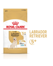 ROYAL CANIN LABRADOR ADULT 5+ 3kg - idősödő 5 év feletti Labrador Retriever kutya száraz táp