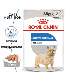 ROYAL CANIN LIGHT WEIGHT CARE - nedves táp hízásra hajlamos felnőtt kutyák részére 12 x 85g