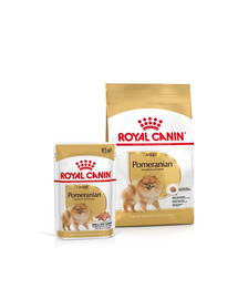 ROYAL CANIN Pomeranian Adult Száraztáp felnőtt pomerániai kutyáknak 1.5 kg + Pomeranian Adult Nedves eledel 12x85g
