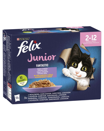 FELIX FANTASTIC Junior Mix ízek zselében (marhahús, csirke, szardínia, lazac) 12x85g nedves cicatáp