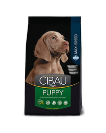 CIBAU Maxi Puppy 12 + 2 kg