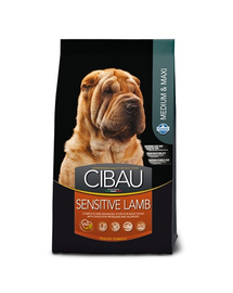 CIBAU Sensitive Lamb Medium & Maxi 12 kg + 2 kg