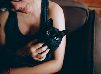 A fekete macskákról számos mítosz és babona kering.