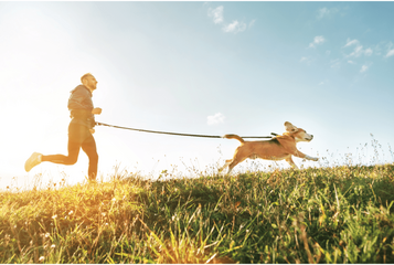 A canicross a kutyával való futást jelenti egy speciális kötél segítségével.