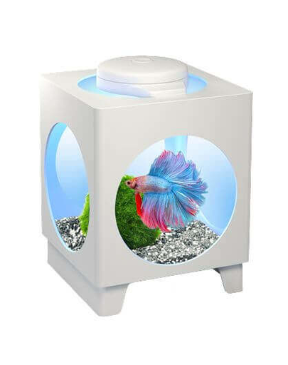 TETRA Betta Projector Készlet harcos halaknak, fehér