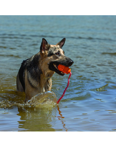 KONG Aqua L lebegő kutyalabda