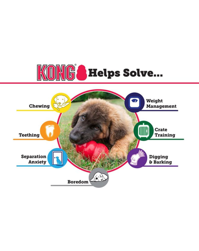 KONG Classic XL 12,5 cm fogazó a kutyának
