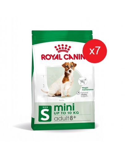 ROYAL CANIN Mini Adult 8+ Száraztáp idős kutyáknak 8 éves kortól kis fajtáknak 7x2kg