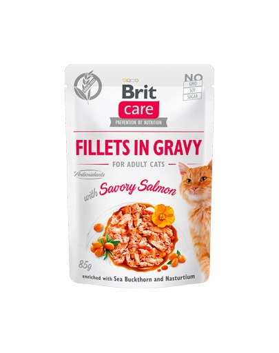BRIT Care Fillets in gravy savory salmon 24 x 85 g lazacfilé mártásban