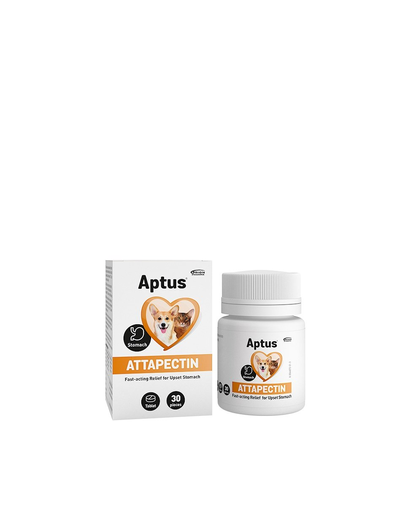 APTUS Attapectin 30 db emésztési zavar tabletta kutyáknak és macskáknak