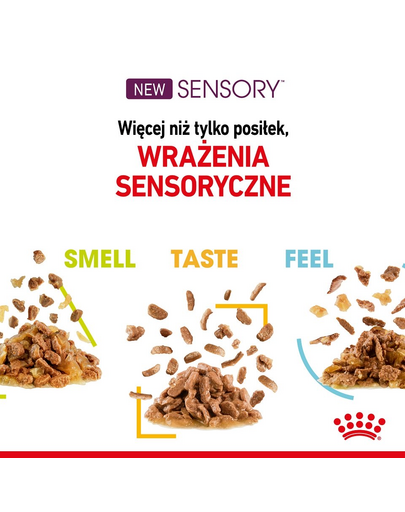 ROYAL CANIN Sensory Smell, Taste, Feel darabok szószban macskáknak 12 x 85 g érzékszervi stimuláció