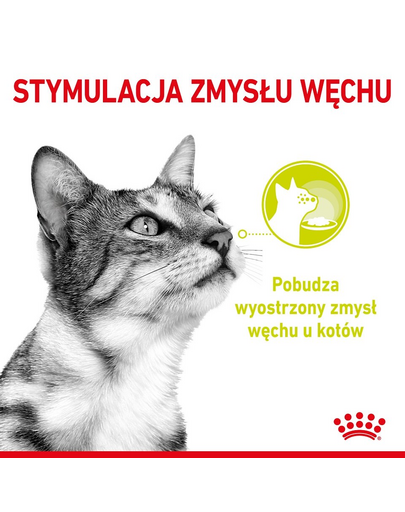 ROYAL CANIN Sensory Smell, Taste, Feel darabok szószban macskáknak 12 x 85 g érzékszervi stimuláció