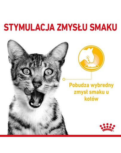 ROYAL CANIN Sensory Smell, Taste, Feel darabok szószban macskáknak 12 x 85 g érzékszervi stimuláció