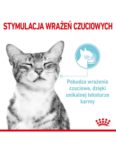 ROYAL CANIN Sensory Smell, Taste, Feel darabok szószban macskáknak 12 x 85 g érzékszervi stimuláció