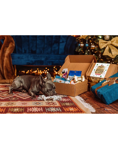 ZOLUX karácsonyi ajándékcsomag kutyájának