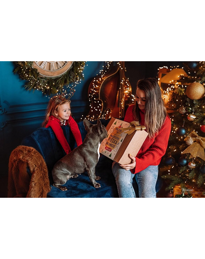 ZOLUX karácsonyi ajándékcsomag kutyájának