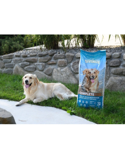 DIVINUS Complete vitamin- és ásványianyag-táp nyűgös kutyáknak 20 kg