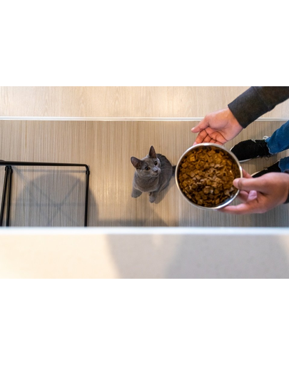 ZIWIPEAK Cat Levegőn szárított takarmány Vadhús 400 g