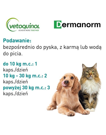 VETOQUINOL Dermanorm VTQ care 90 bőrtabletták kutyák és macskák számára