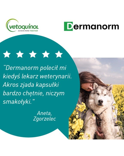 VETOQUINOL Dermanorm VTQ care 90 bőrtabletták kutyák és macskák számára
