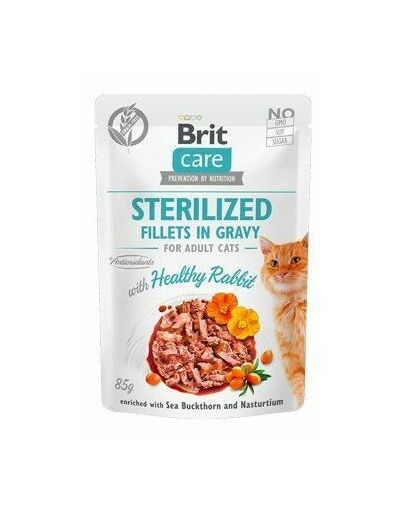 BRIT Care Fillets in Jelly saszetki w sosie dla kota 24 x 85 g