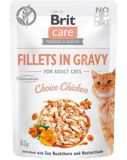 BRIT Care Fillets in Jelly saszetki w sosie dla kota 24 x 85 g