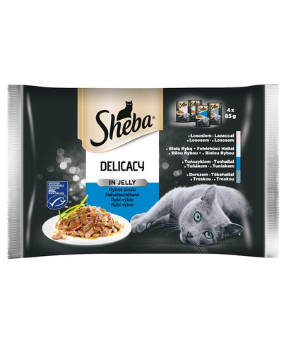 SHEBA Delicacy in Jelly Hal ízű zselés felnőtt macskaeledel 52x85g