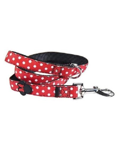 RECOVET Lanyard Minnie S