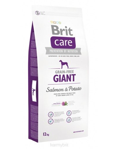 BRIT Care Grain-Free Giant Salmon & Potato 3 kg