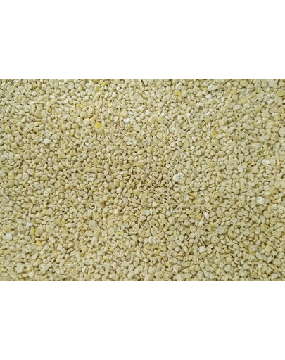 BENEK Super Corn Cat Ultra illatmentes kukorica macskaalom 7 l 4,4 kg