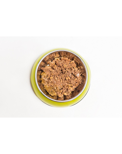 ARUBA Dog Organic Nedvestáp pulyka zabbal, céklával és articsókával 100 g