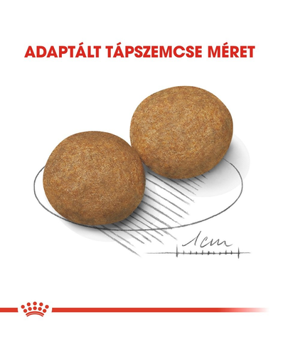 ROYAL CANIN Medium adult 10 kg