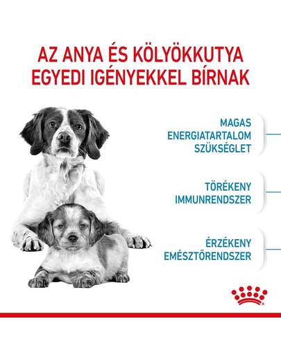 ROYAL CANIN MEDIUM STARTER MOTHER & BABYDOG - közepes testű kölyök vemhes kutya száraz táp 1 kg