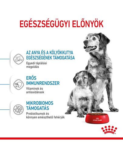 ROYAL CANIN MEDIUM STARTER MOTHER & BABYDOG - közepes testű kölyök vemhes kutya száraz táp 1 kg