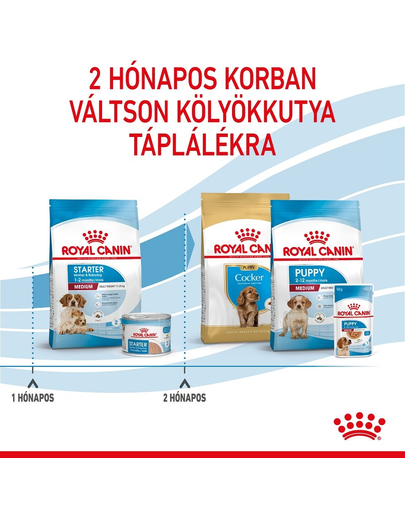 ROYAL CANIN MEDIUM STARTER MOTHER & BABYDOG - közepes testű kölyök vemhes kutya száraz táp 1 kg