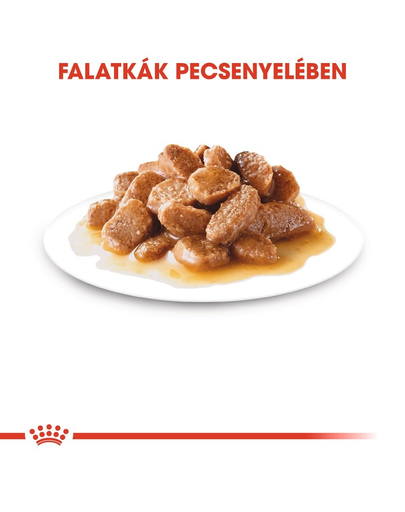 ROYAL CANIN Mini ageing 12+ 85 g