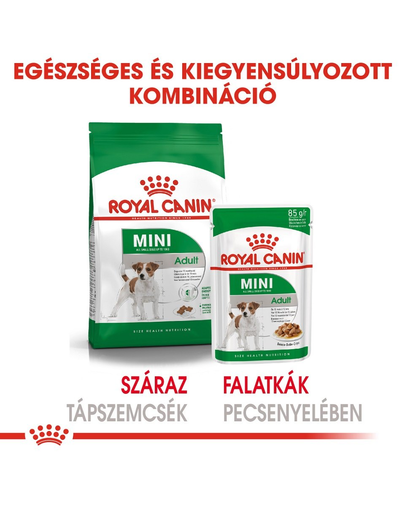 ROYAL CANIN Mini ageing 12+ 85 g