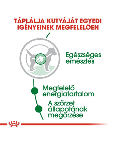 ROYAL CANIN Mini ageing 12+ 85 g