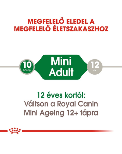 ROYAL CANIN Mini ageing 12+ 85 g