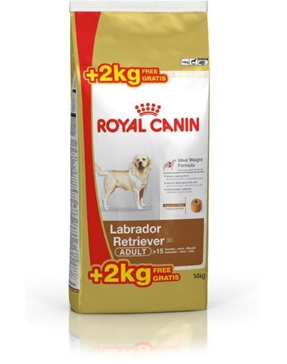 ROYAL CANIN Labrador retriever adult 12 kg + 2 kg ajándék!
