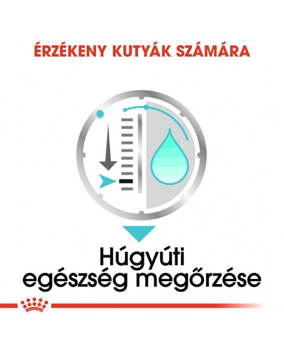 ROYAL CANIN URINARY CARE - nedves táp felnőtt kutyák részére az alsó hugyúti problémák megelőzéséért 85 g