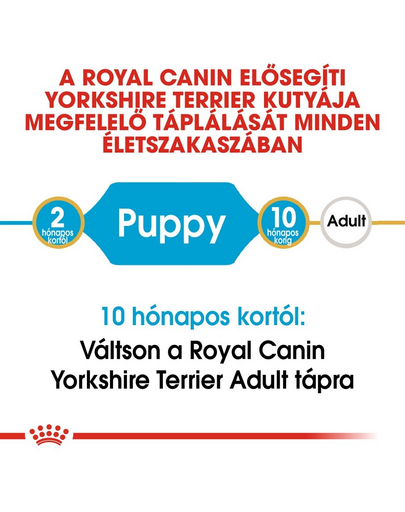 ROYAL CANIN YORKSHIRE TERRIER PUPPY 15 (2 x 7.5 kg) Yorkshire Terrier kölyök kutya száraz táp