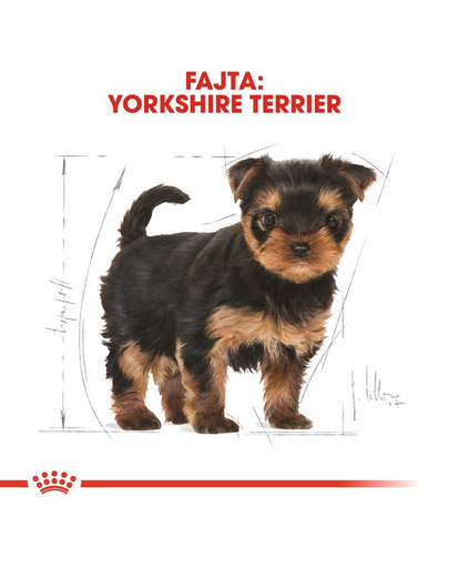 ROYAL CANIN YORKSHIRE TERRIER PUPPY - Yorkshire Terrier kölyök kutya száraz táp 0,5 kg
