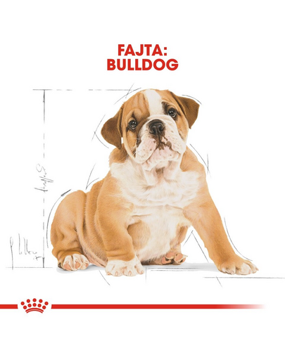 ROYAL CANIN BULLDOG PUPPY - Angol Bulldog kölyök kutya száraz táp 3 kg