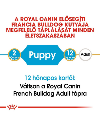 ROYAL CANIN FRENCH BULLDOG PUPPY - Francia Bulldog kölyök kutya száraz táp 10 kg